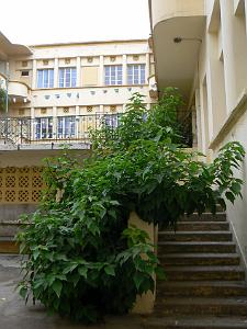 ecole Jules Renard 12 